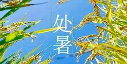 處暑|暑漸去，秋意來